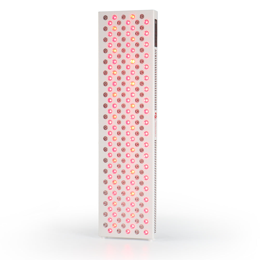 PW1000 Large Full Body